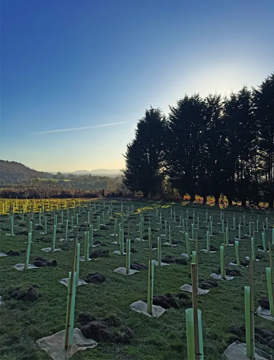 contact Good Health Naturally